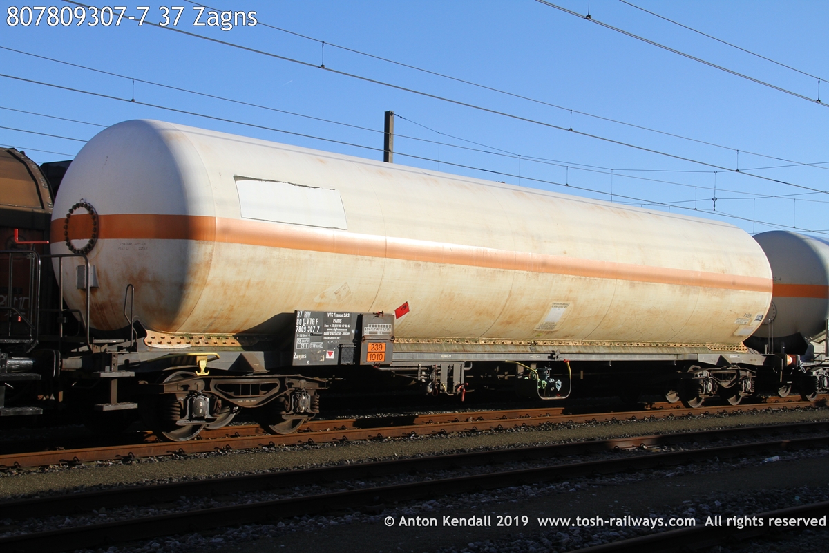 807809307-7_37 Zagns.JPG